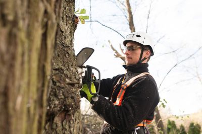 Equipment for Tree Care